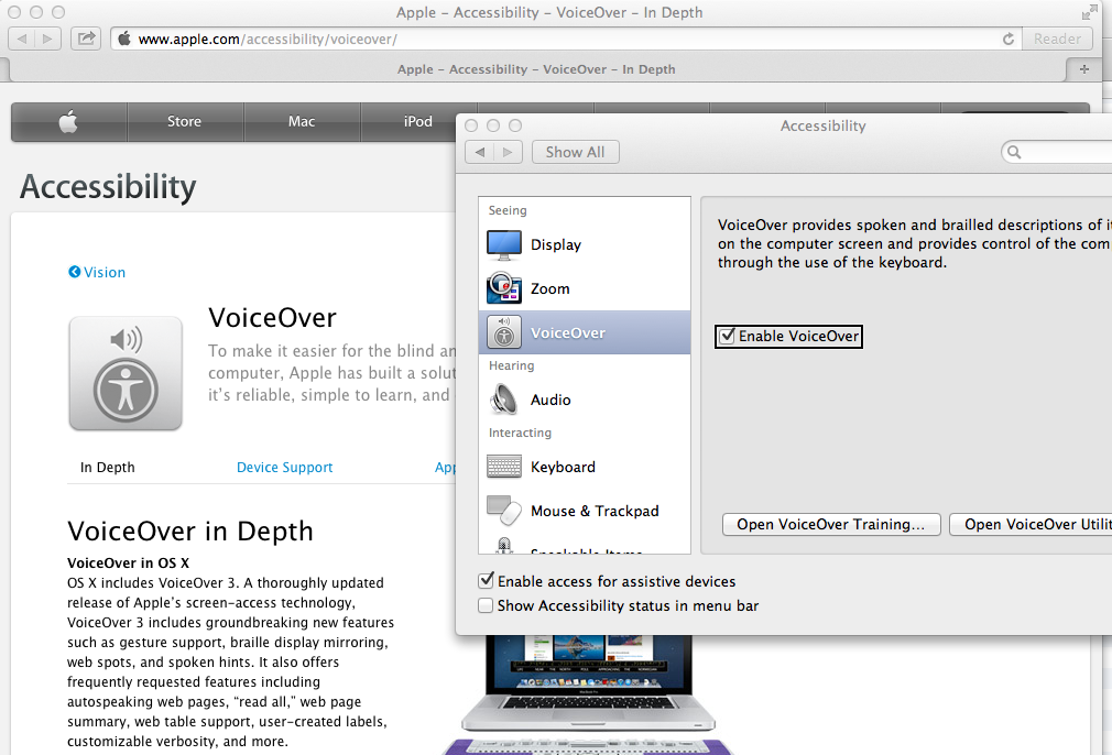 Screenshot of Universal Access preferences pane, with Safari in the background